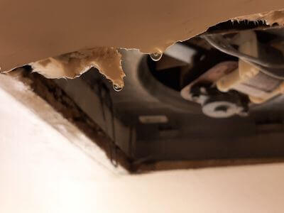 Professional water damage restoration services in Orange - ElementNest